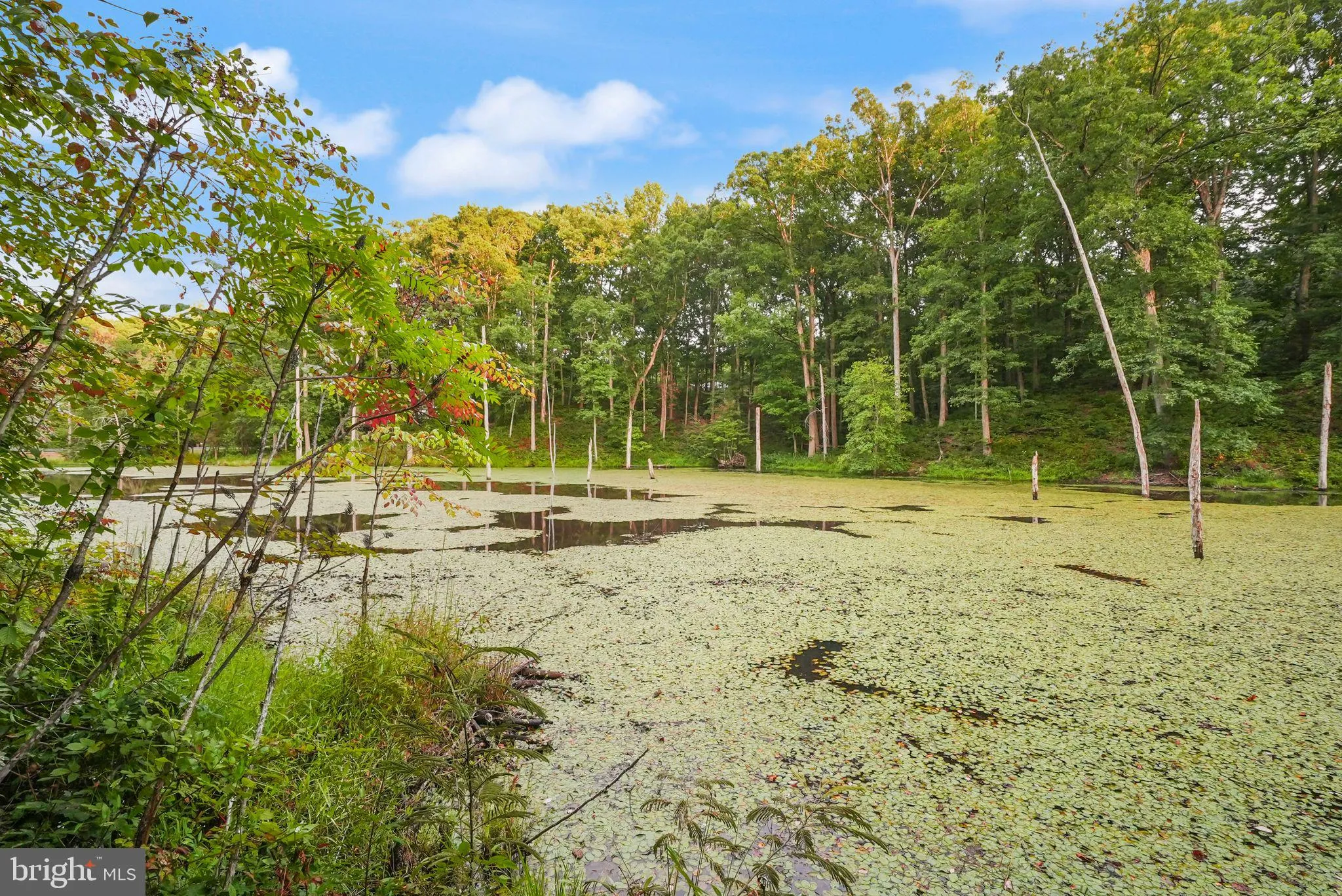 Fredericksburg, Virginia 22408, United States, 5 Bedrooms Bedrooms, ,3 BathroomsBathrooms,Residential,Pending,196879
