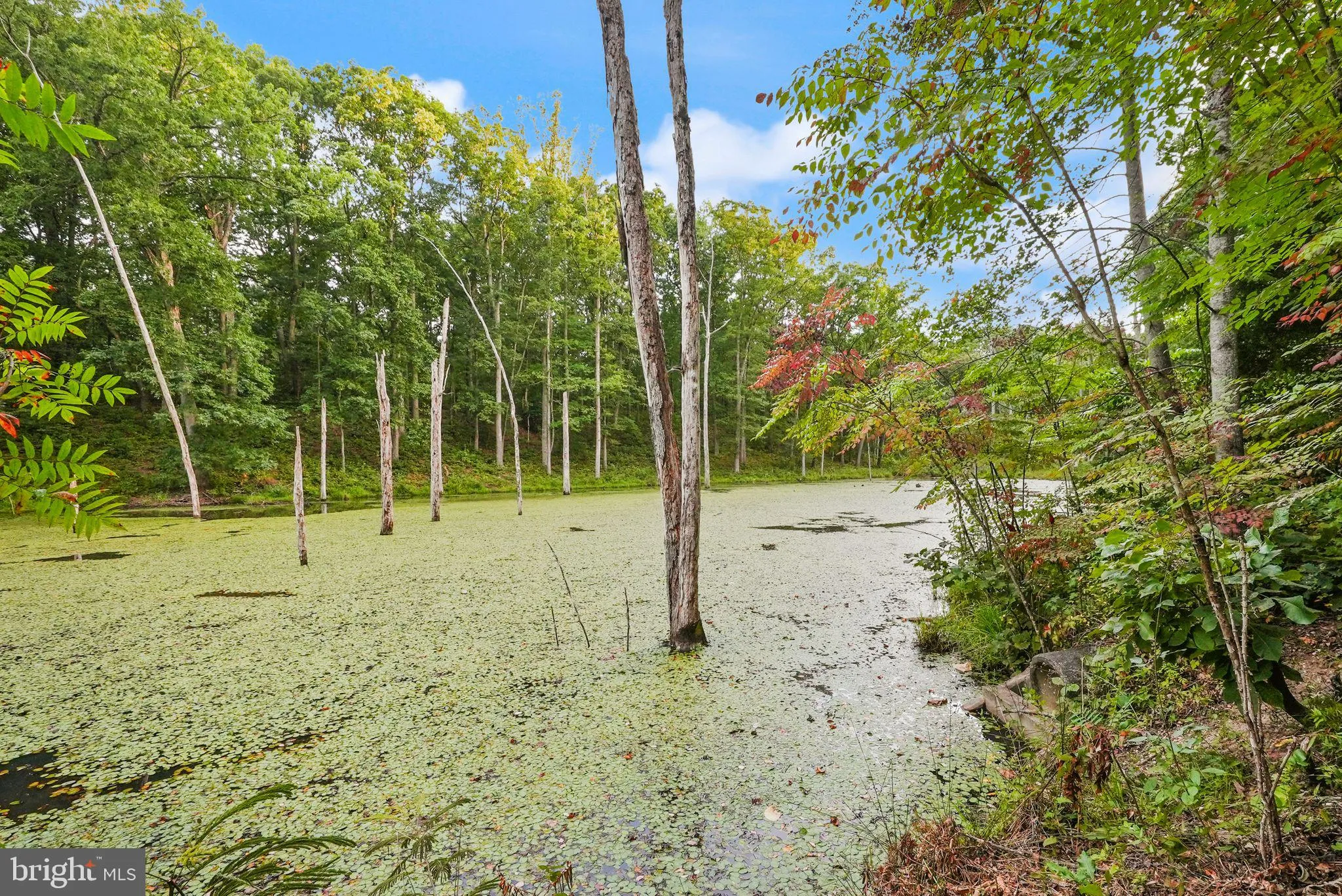 Fredericksburg, Virginia 22408, United States, 5 Bedrooms Bedrooms, ,3 BathroomsBathrooms,Residential,Pending,196879