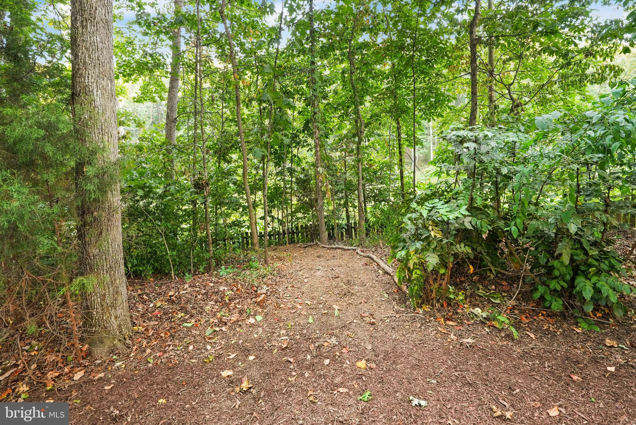 Fredericksburg, Virginia 22408, United States, 5 Bedrooms Bedrooms, ,3 BathroomsBathrooms,Residential,Pending,196879