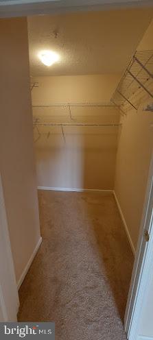 WINDSOR AT PERRY HALL FARMS - Residential