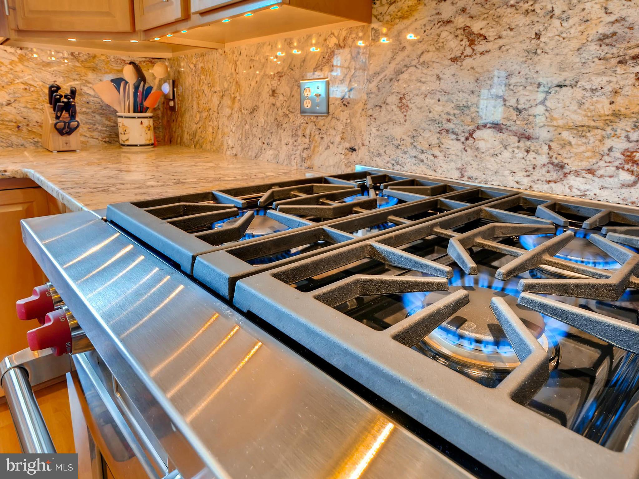 LOCUST POINT - Residential