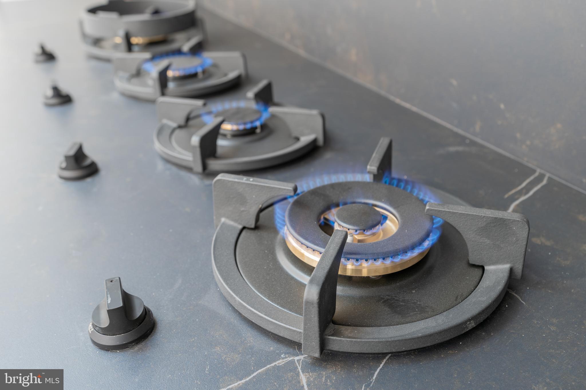 BROYHILL LANGLEY ESTATES - Residential