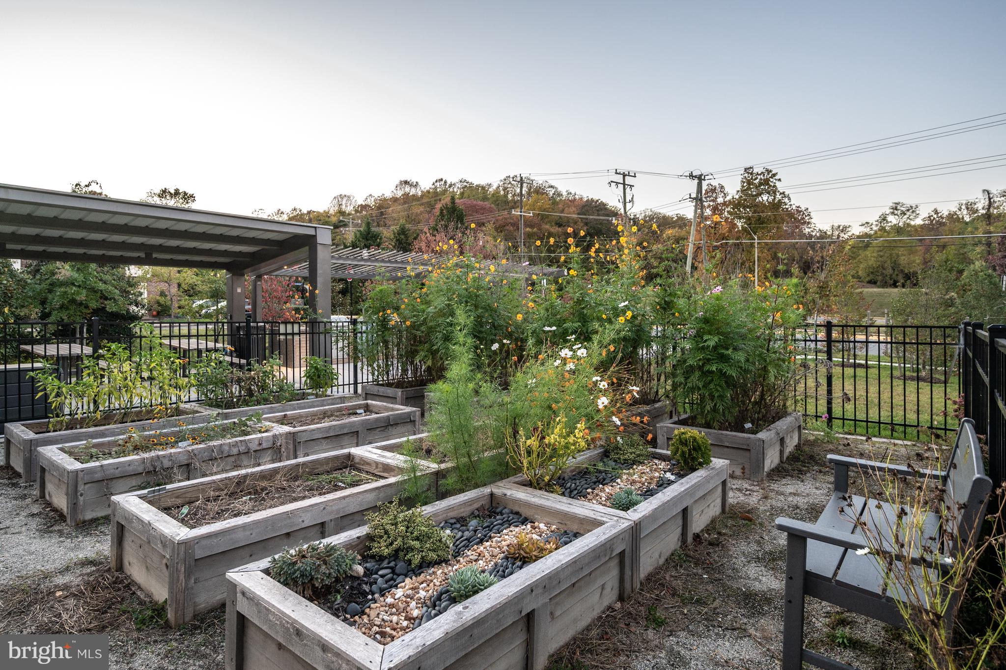 BREN POINTE - Residential