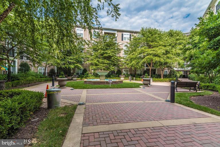 THE FITZ - Residential