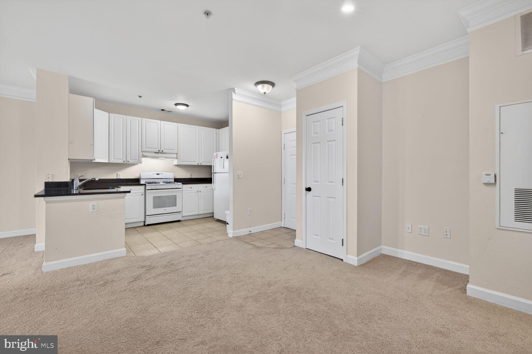 THE FITZ - Residential