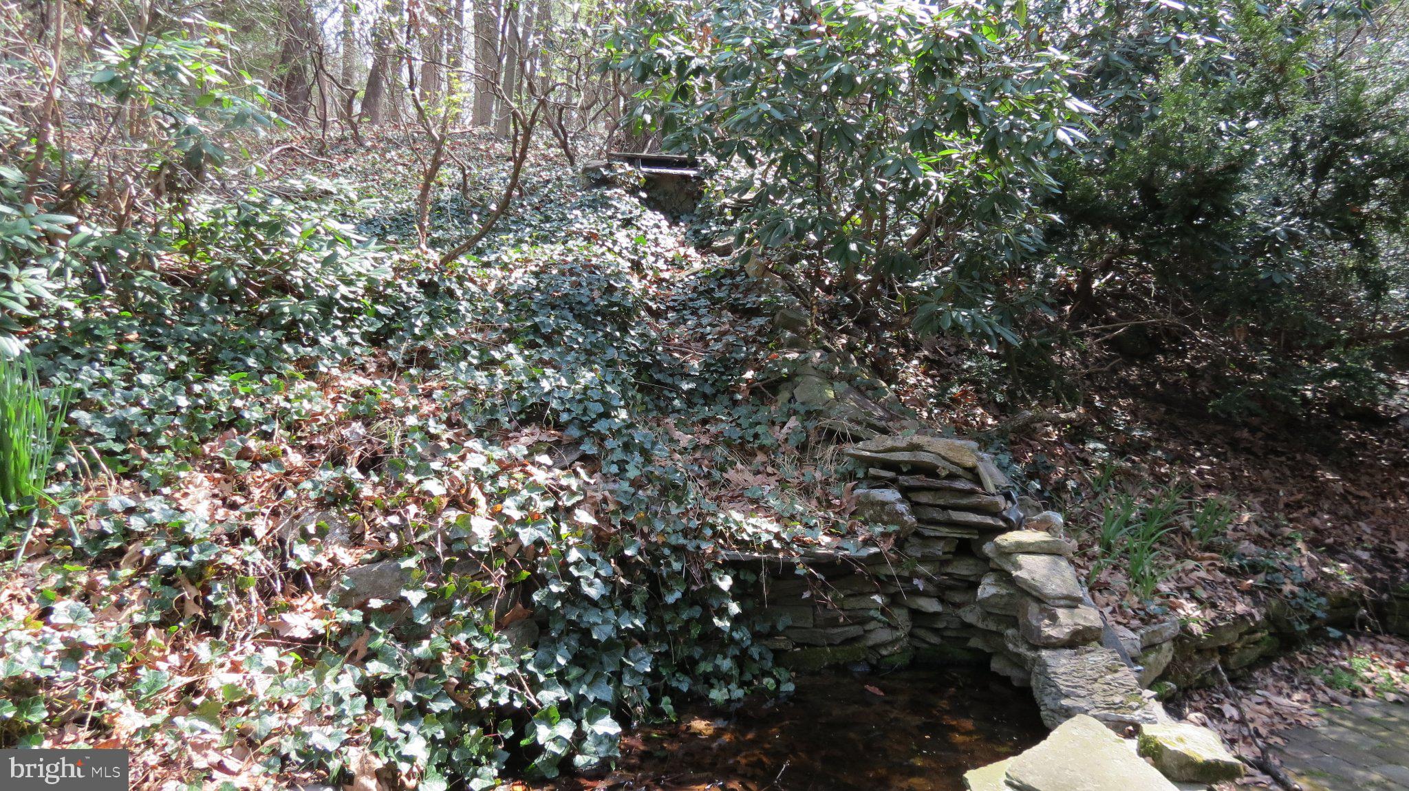 LAUREL WOODS - Residential