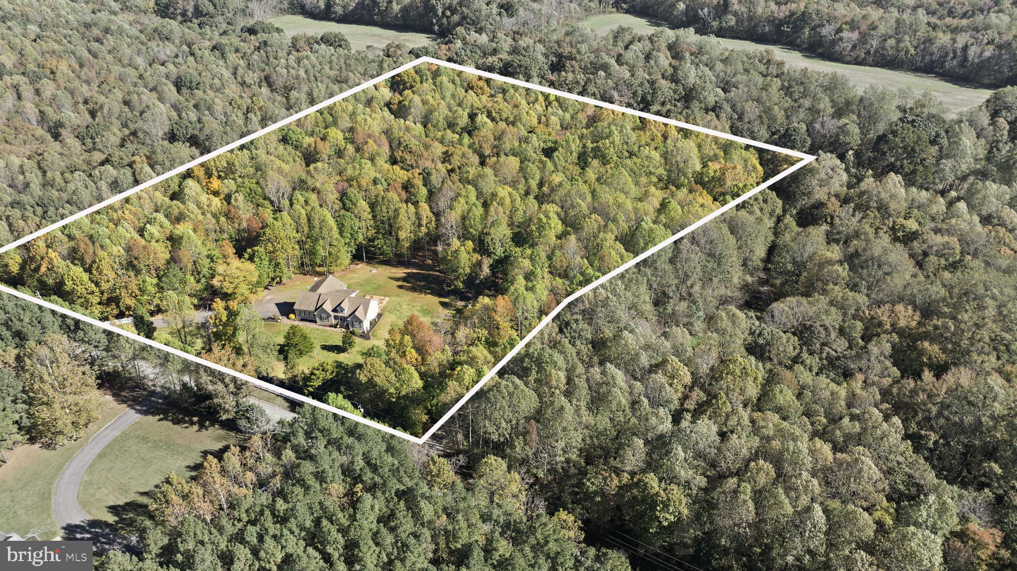 BALD EAGLE - Residential