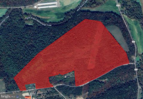Vacant Land For Sale - Spiggs Hill Road<br/> MOUNT PLEASANT MILLS, PA 17853
