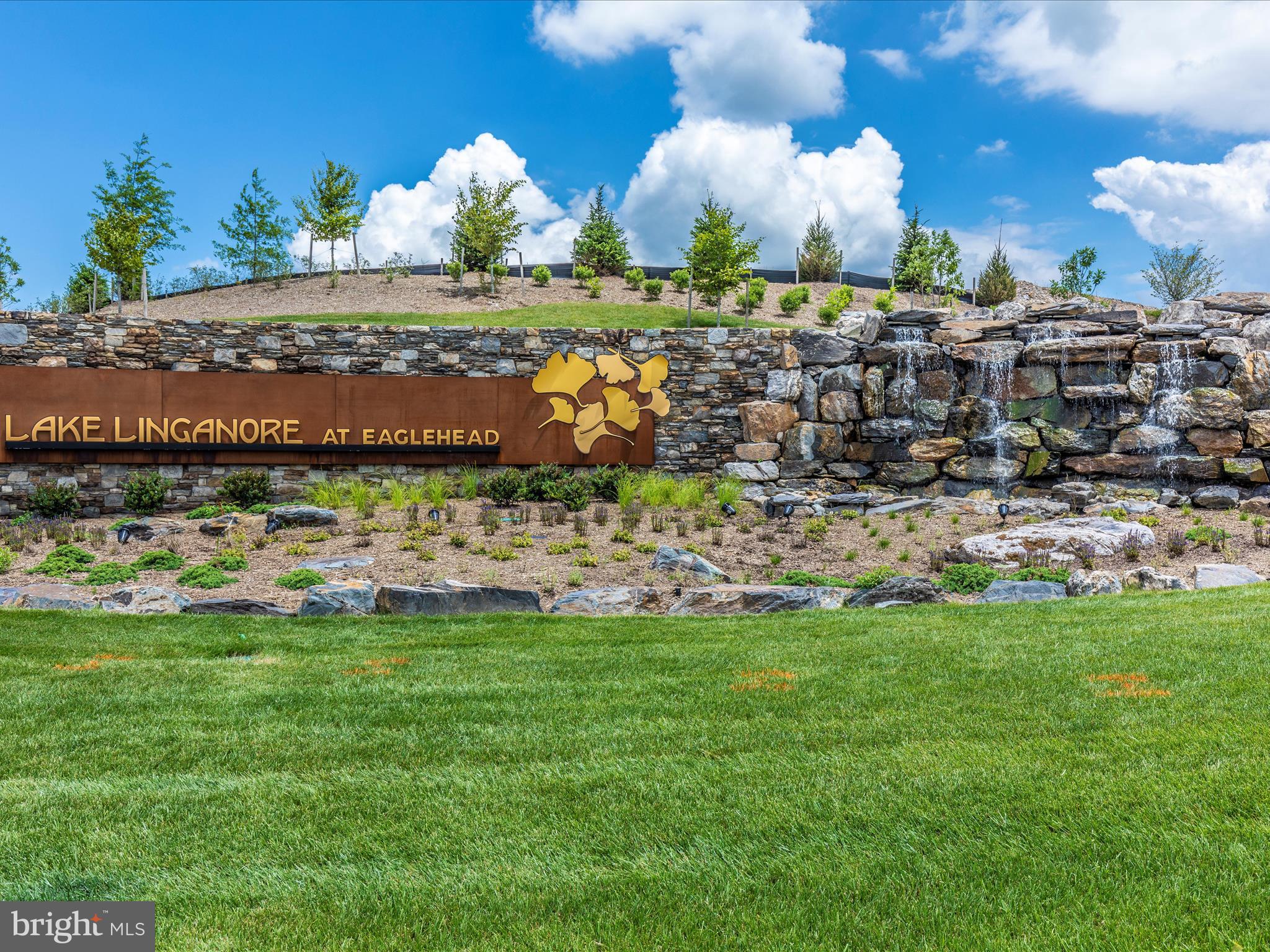 THE MEADOWS - Residential