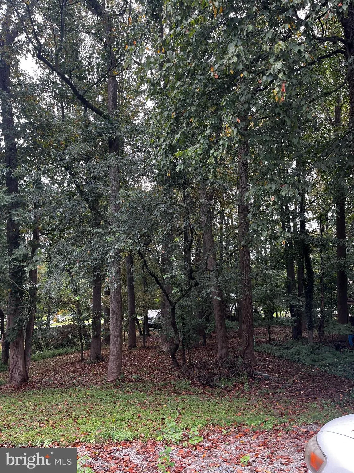 Holtwood, Pennsylvania 17532, United States, 4 Bedrooms Bedrooms, ,2 BathroomsBathrooms,Residential,Active,212738