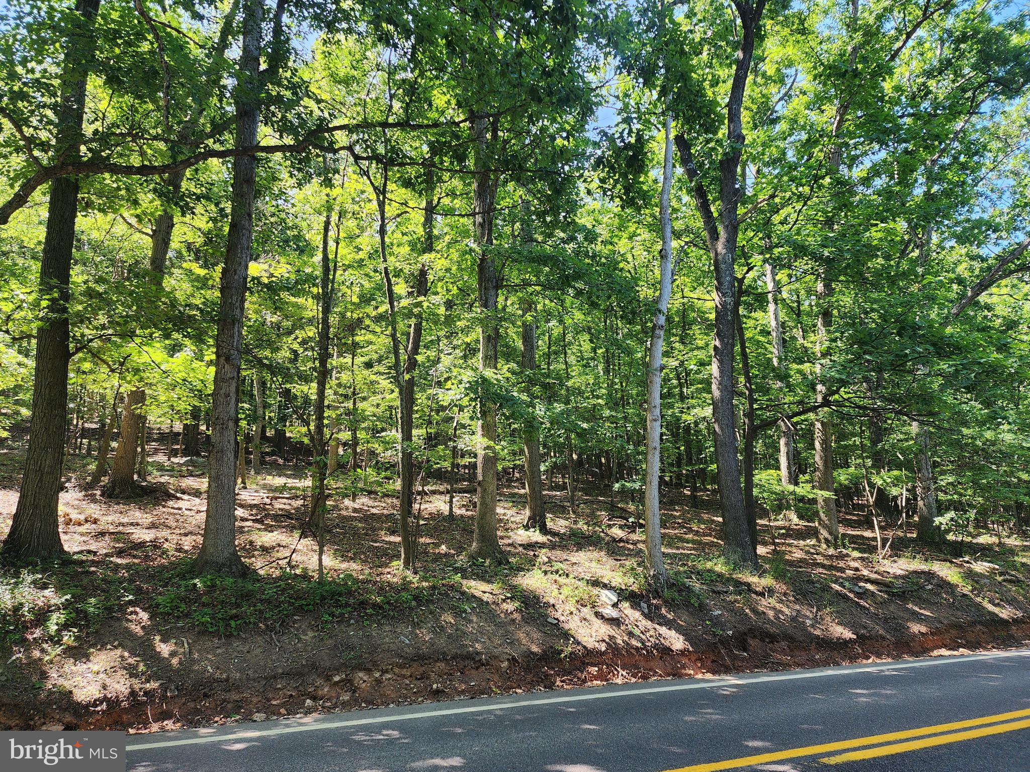8 ACRES CACAPON RD.