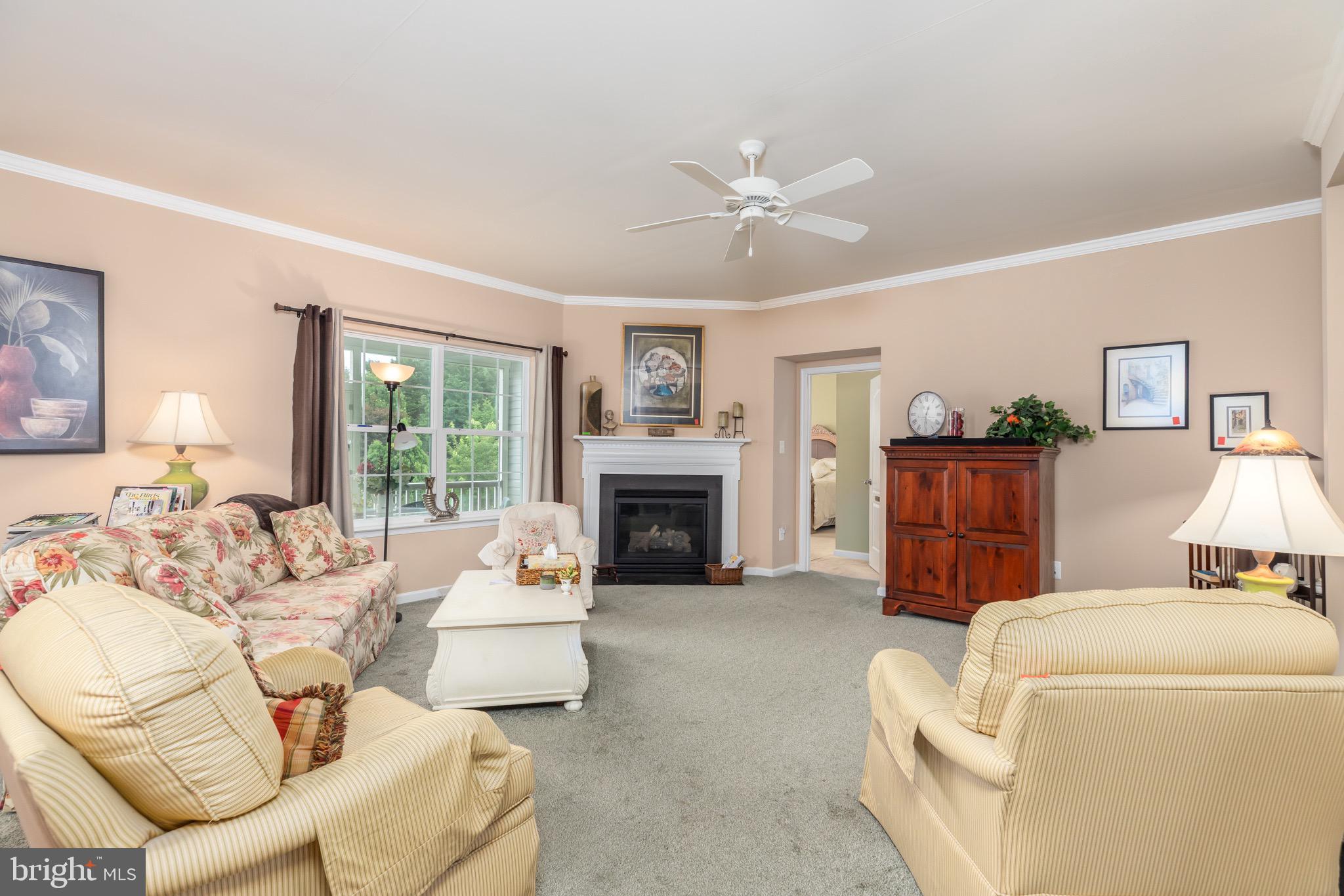 29225 MAYESVILLE WAY