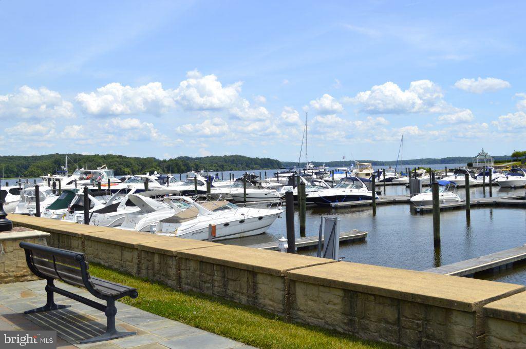 BELMONT BAY - Residential Lease