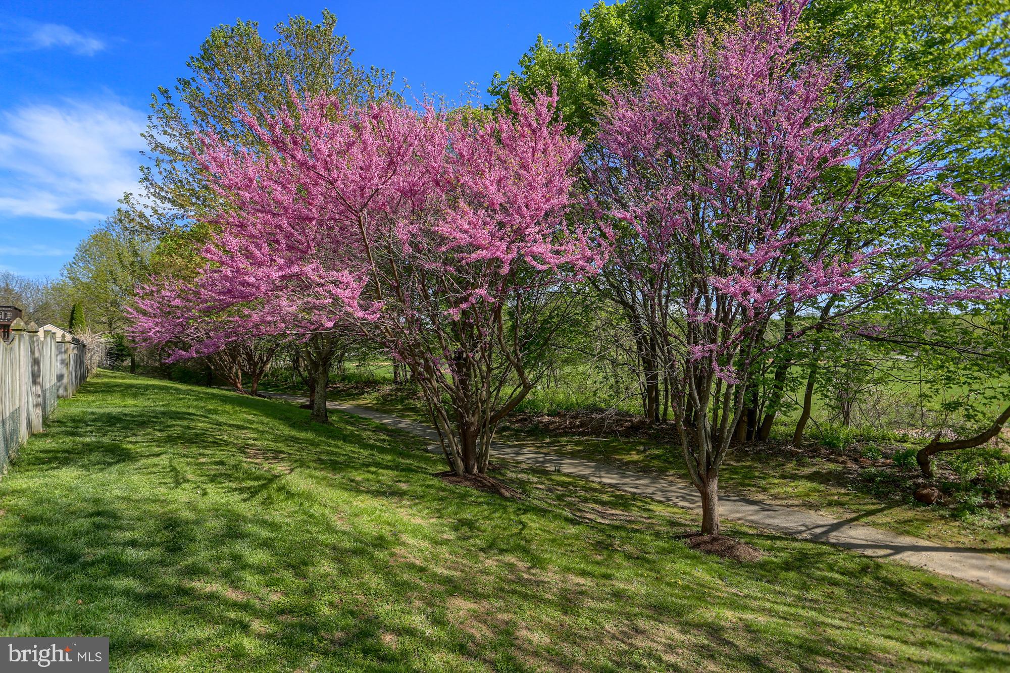 REISTERSTOWN VILLAGE - Residential