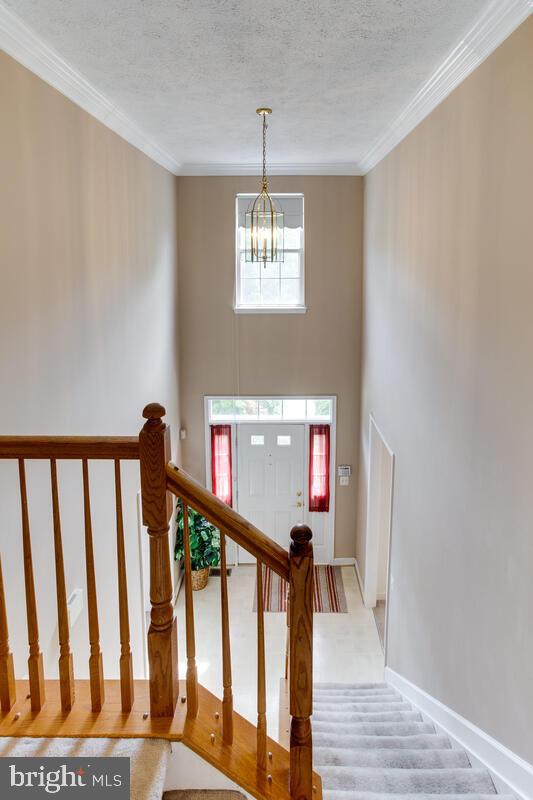 ARAGONA VILLAGE - Residential