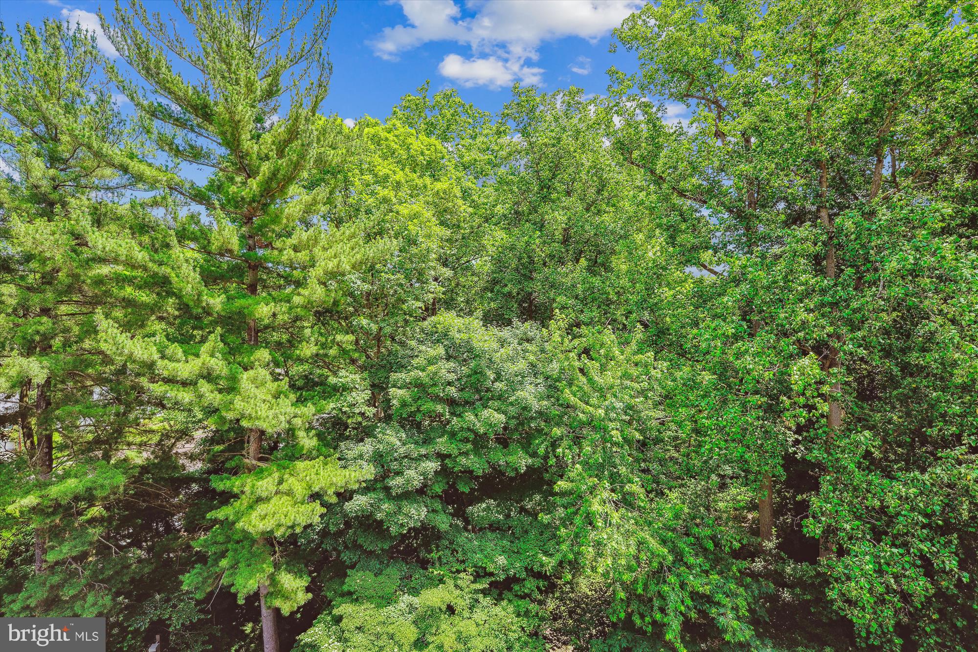 SUMNER VILLAGE - Residential