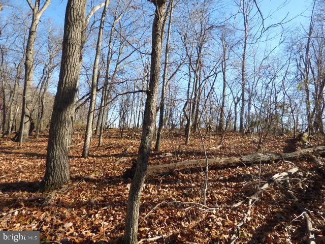 DALLASTOWN - Residential