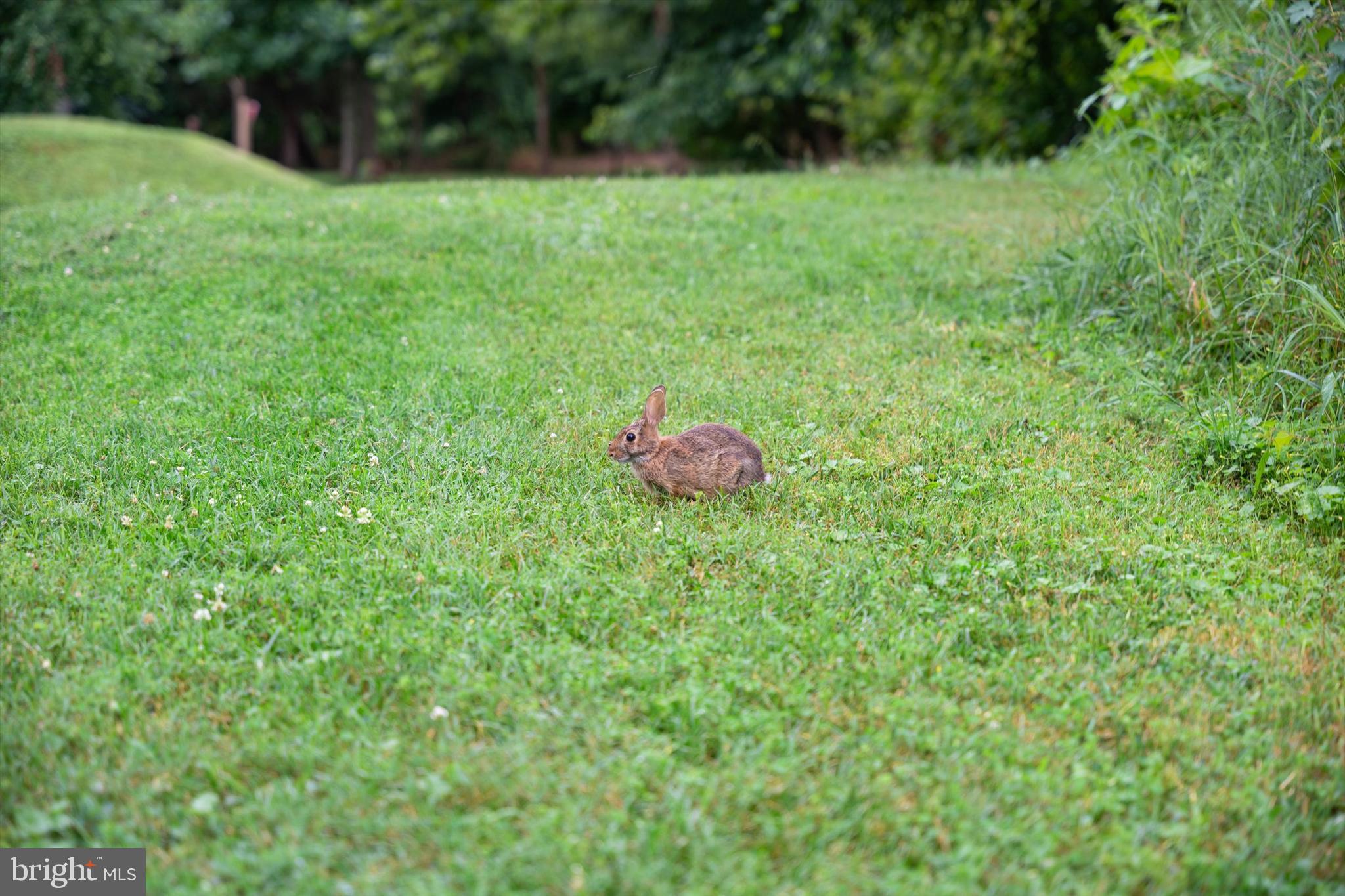CARLYLE HOUSE - Residential Lease