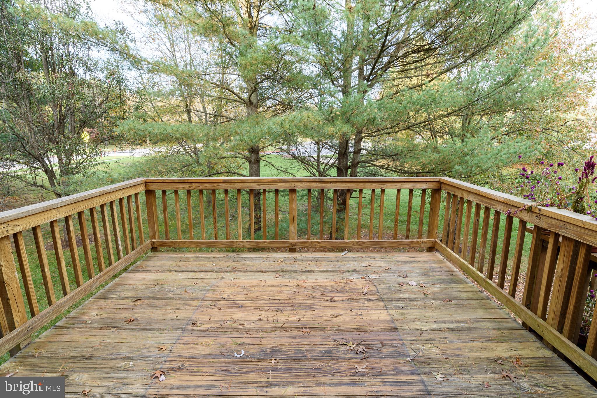 DORSEY HALL - Residential Lease