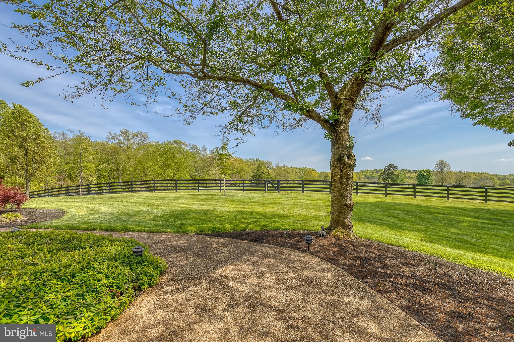 SADDLE RIDGE FARMS - Farm