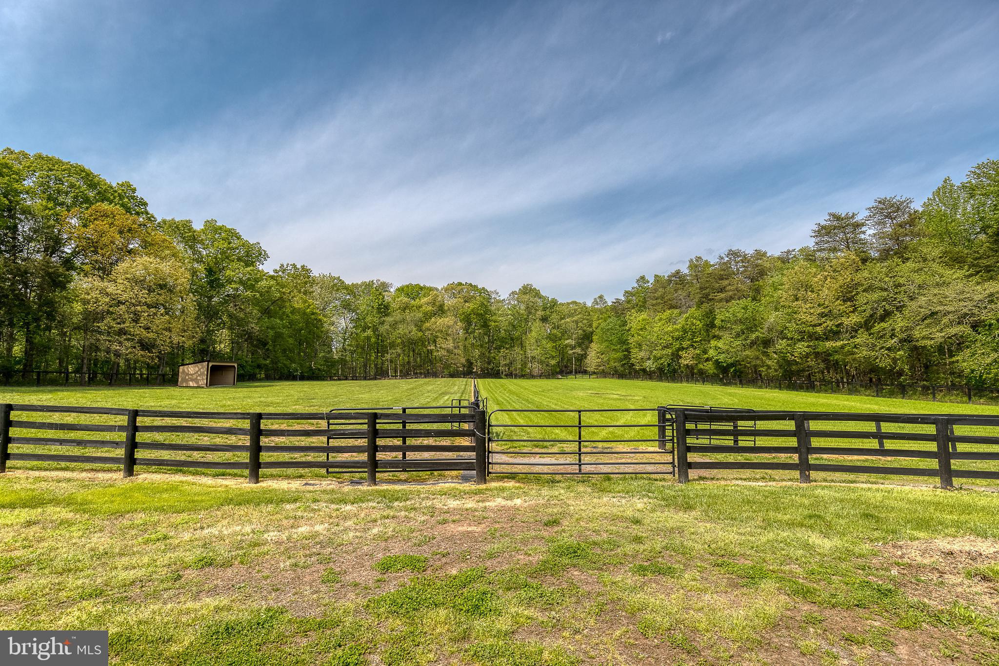SADDLE RIDGE FARMS - Farm