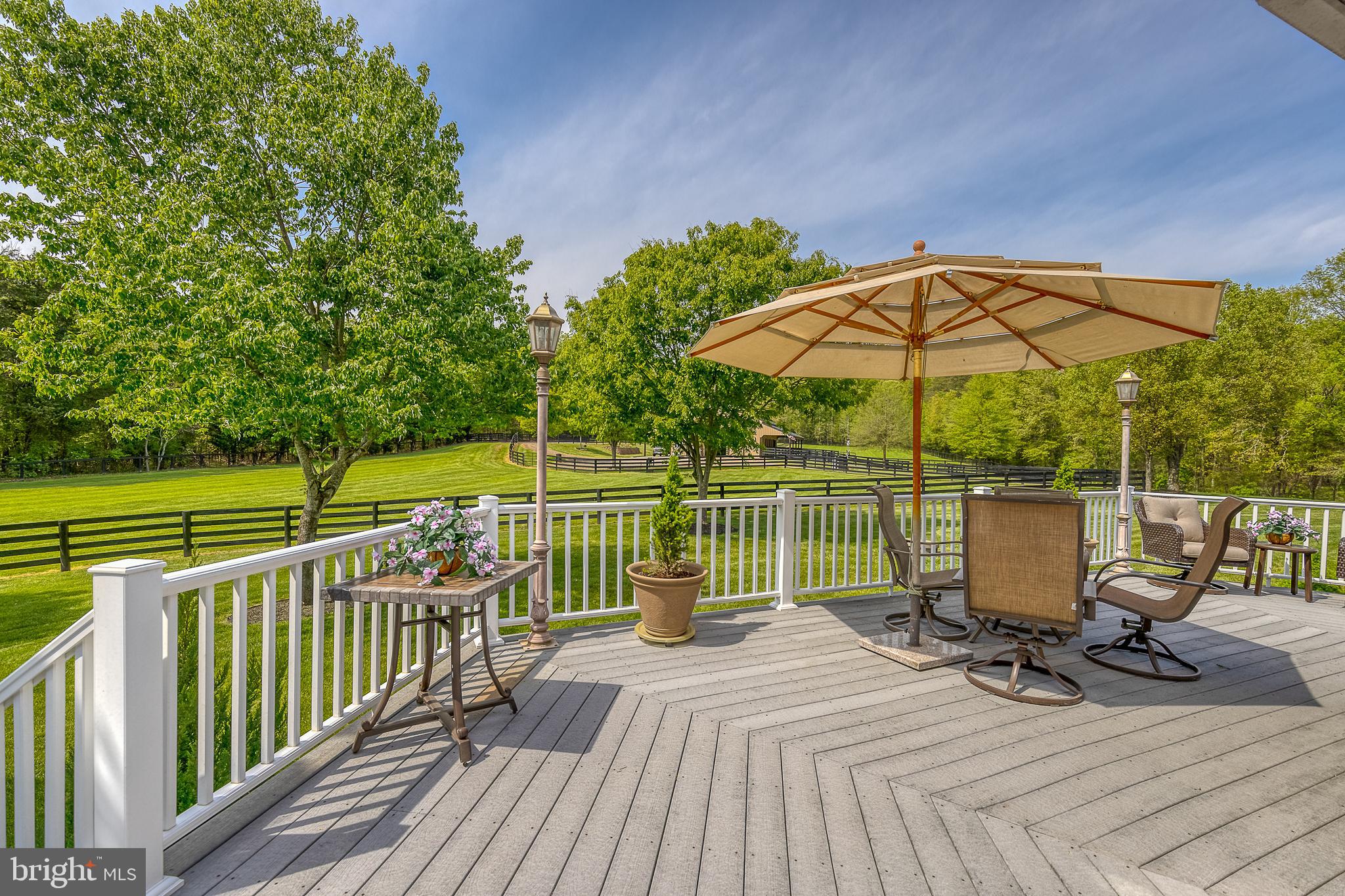 SADDLE RIDGE FARMS - Farm