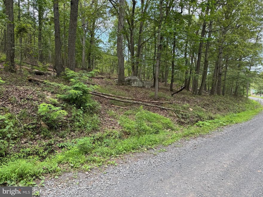 Looking for peace and quiet? Look no further! This tranquil 5 acre lot is off the beaten path on a quiet country road. This lot features a cleared area to build and a roughed-in driveway, many mature trees and seasonal views. Call your agent today to schedule an appointment!