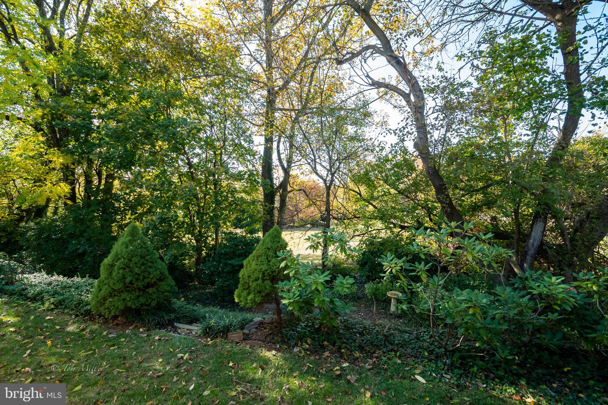 CHESAPEAKE STONE MANOR - Residential