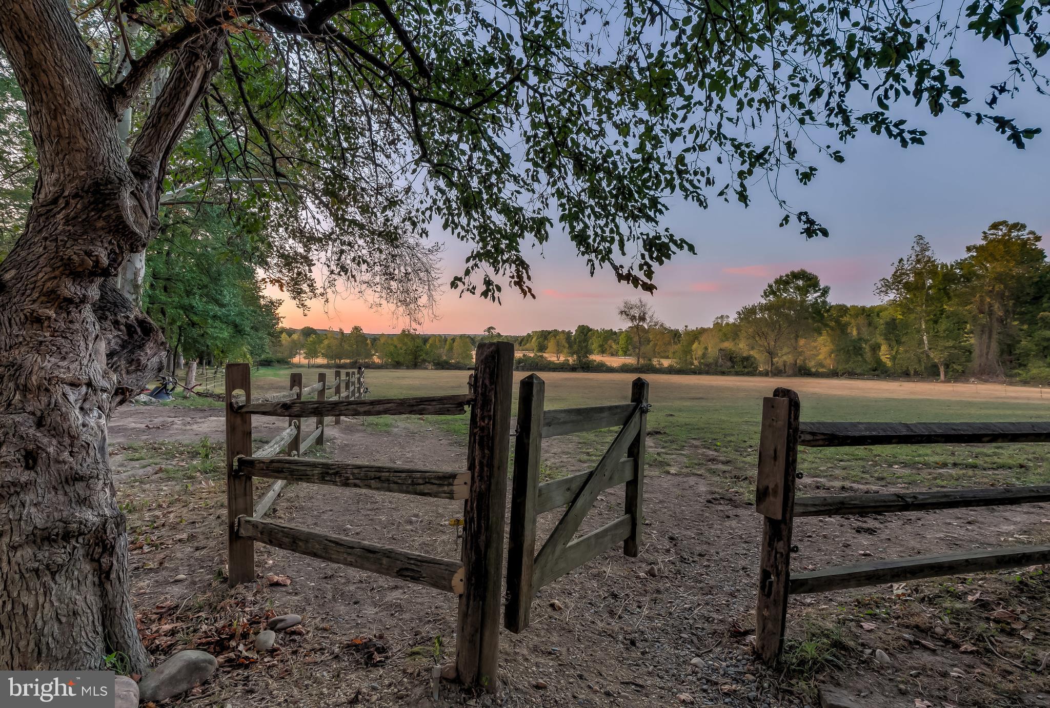 MOYAONE RESERVE - Farm