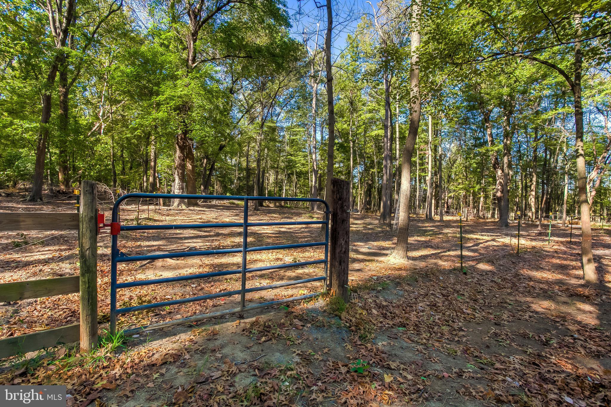 MOYAONE RESERVE - Farm
