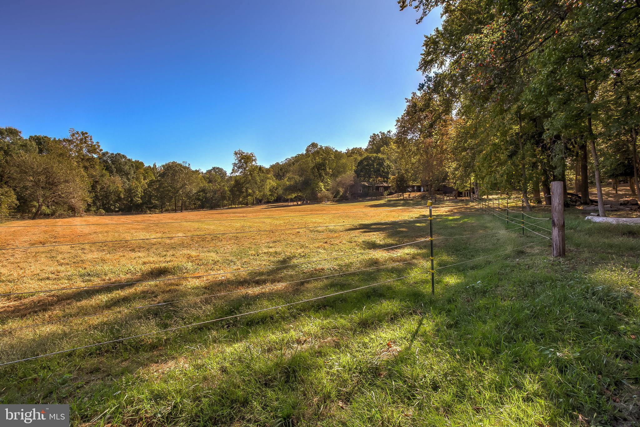 MOYAONE RESERVE - Farm