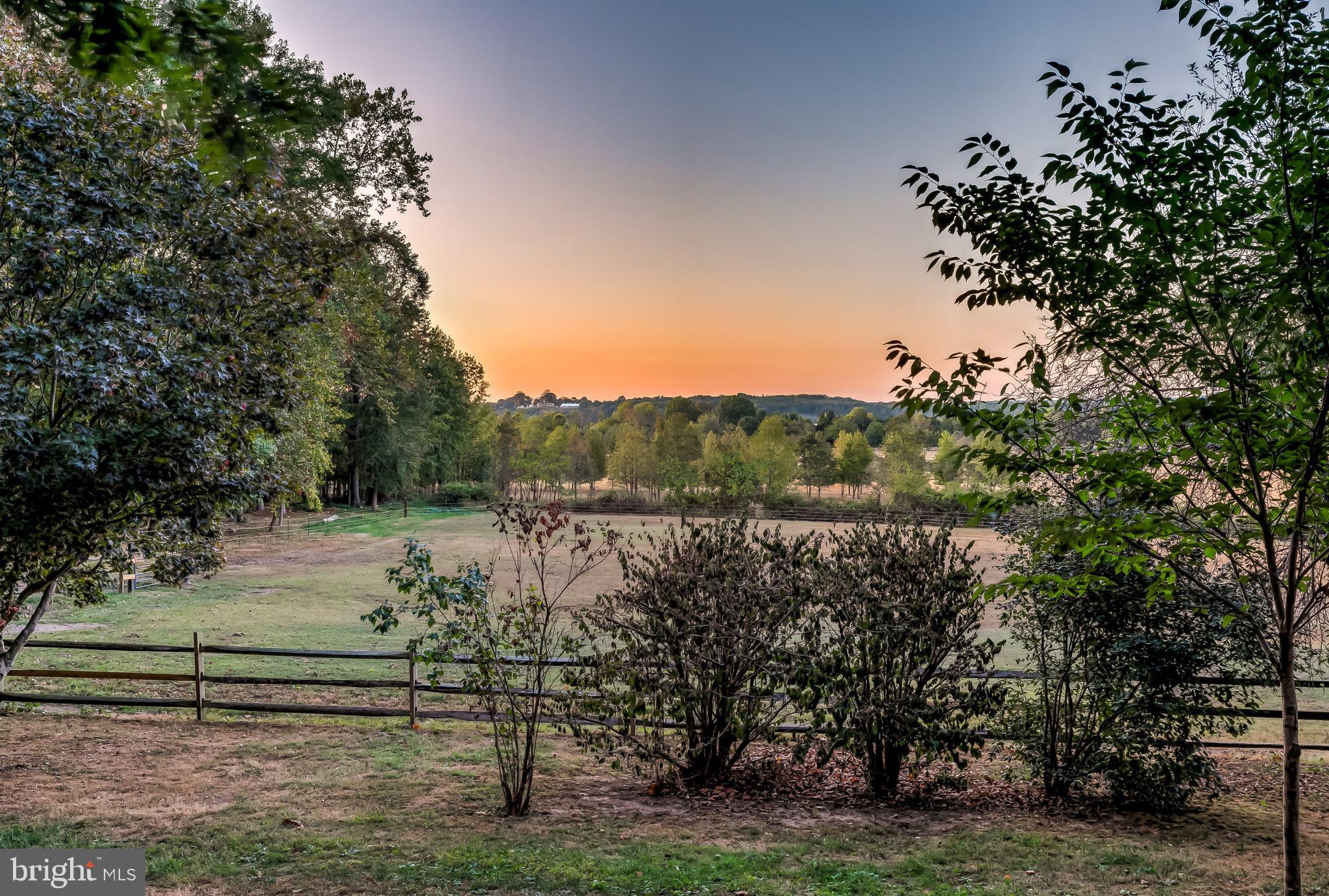 MOYAONE RESERVE - Farm
