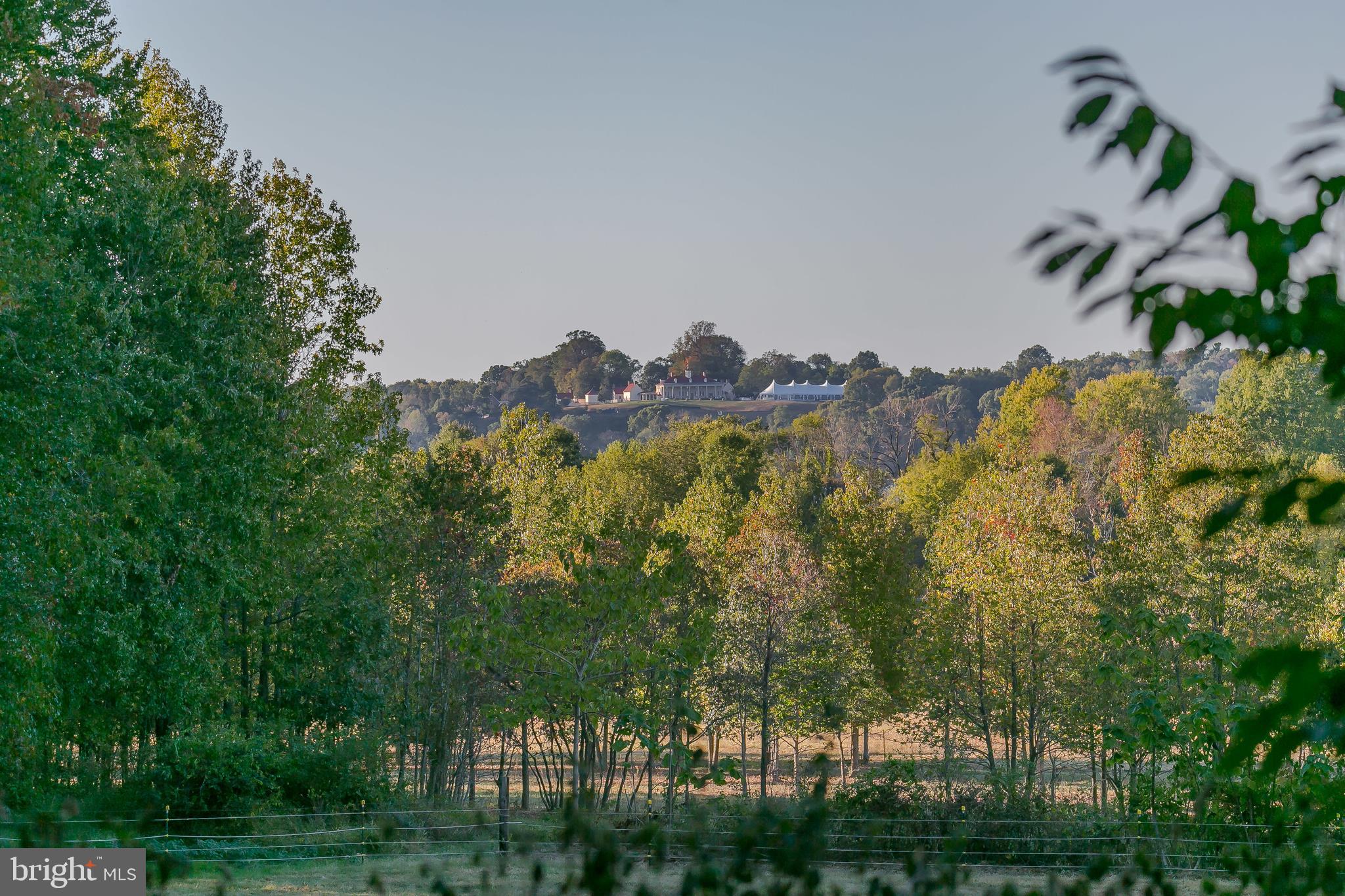 MOYAONE RESERVE - Farm