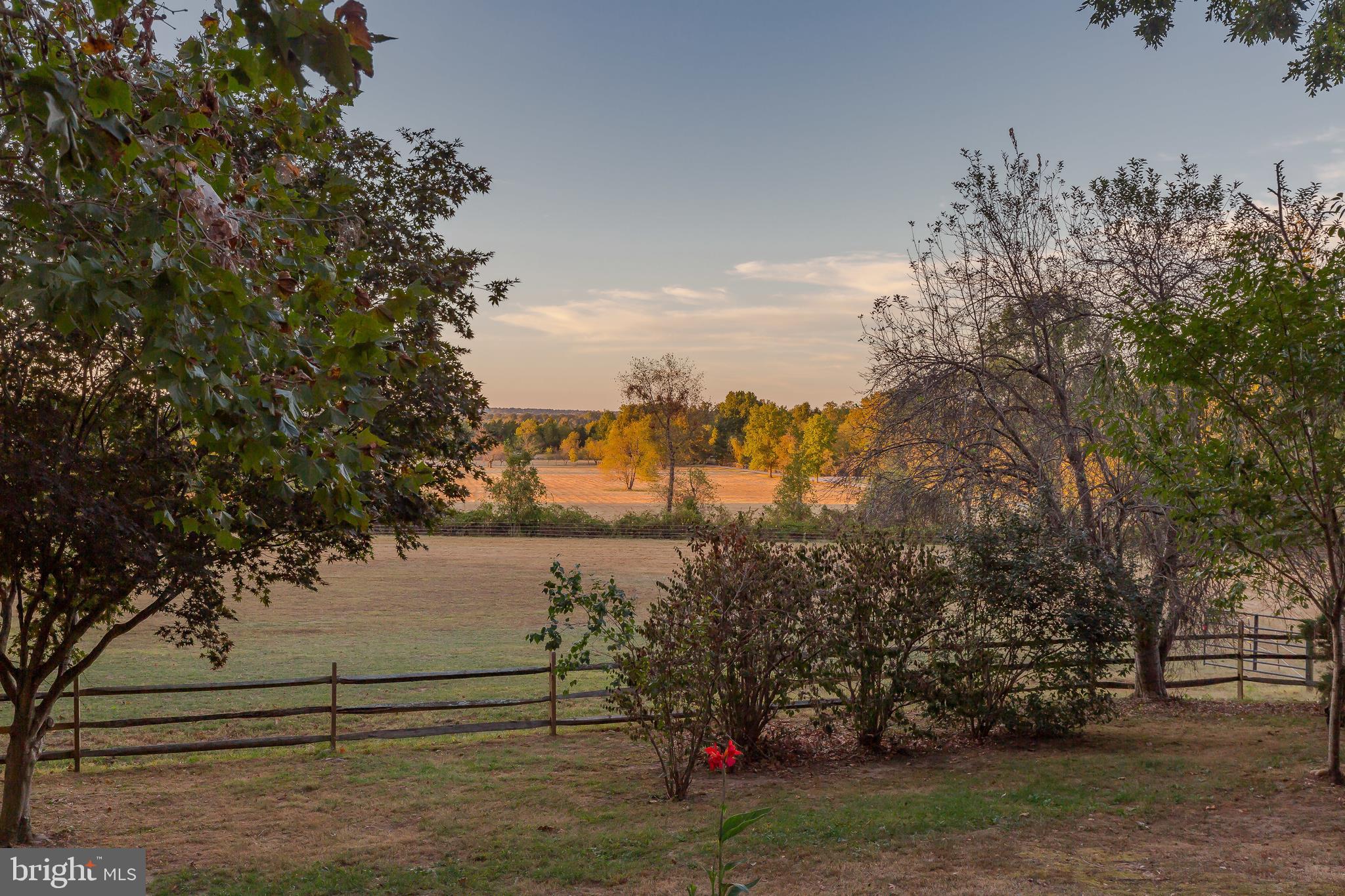 MOYAONE RESERVE - Farm