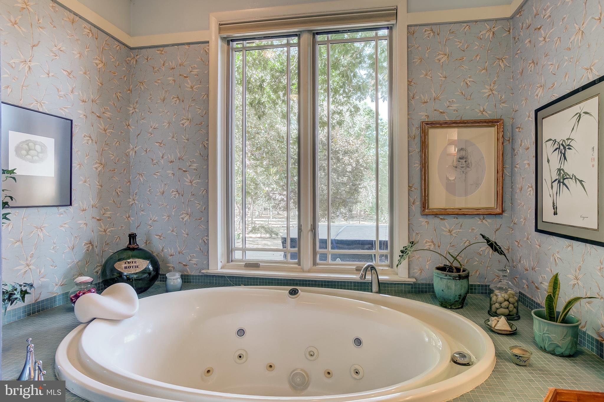 MOYAONE RESERVE - Farm