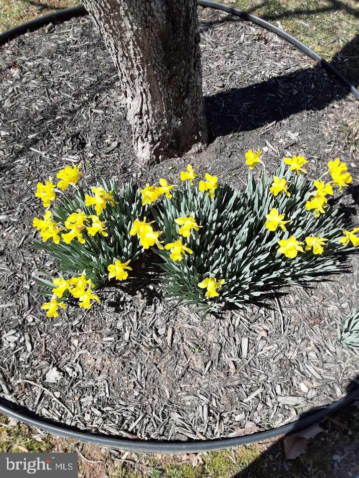 WOODLAND PARK - Residential