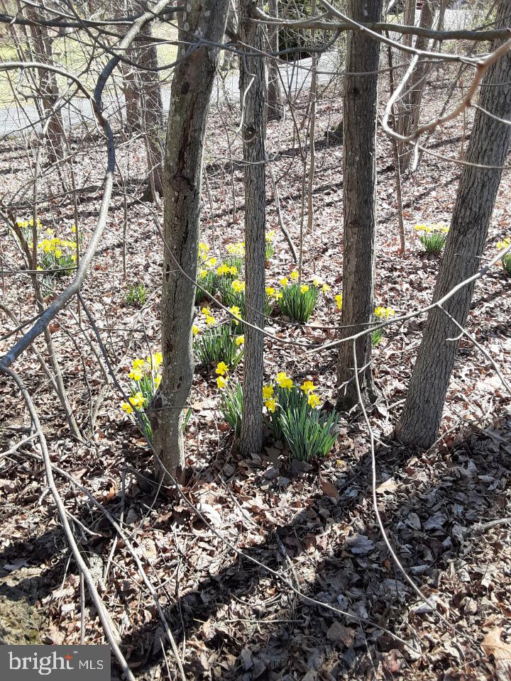 WOODLAND PARK - Residential