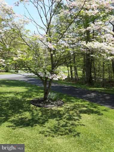 WOODLAND PARK - Residential