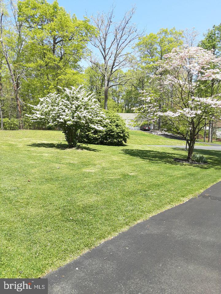 WOODLAND PARK - Residential