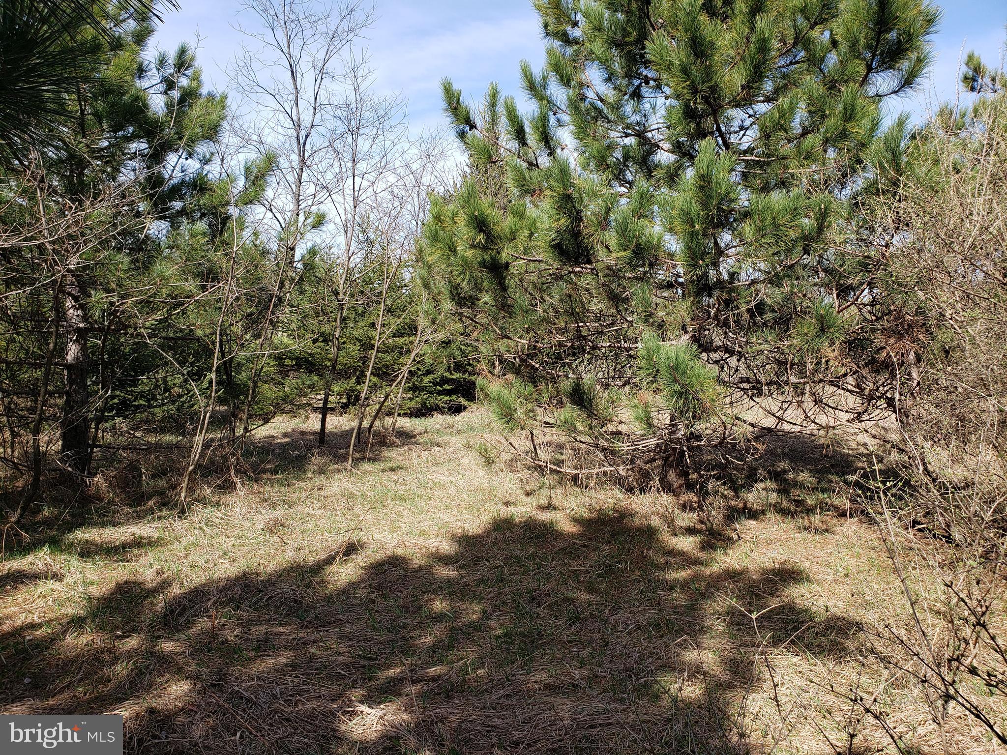 THE SUMMIT OF HARWOOD - Land