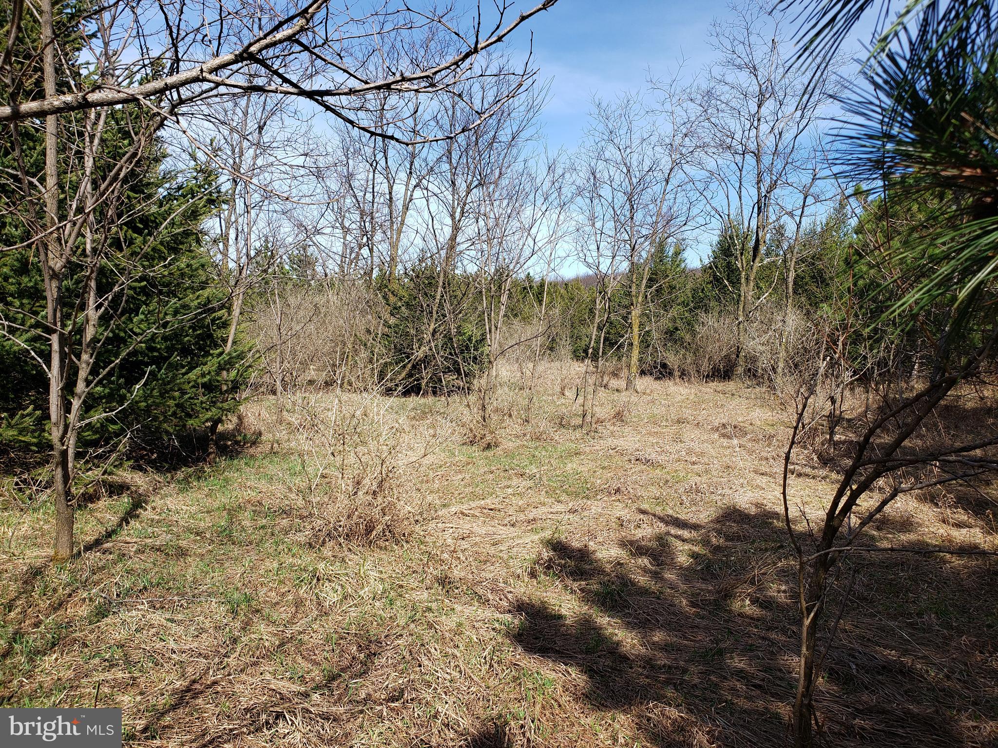 Build your dream home in the Summit of Harwood subdivision, surrounded by incredible views and abundant wildlife. Enjoy a quiet, private setting while only being minutes from Frostburg, LaVale, and Cumberland. Easy access to I-68 & Route 40. Property is Lot #18.