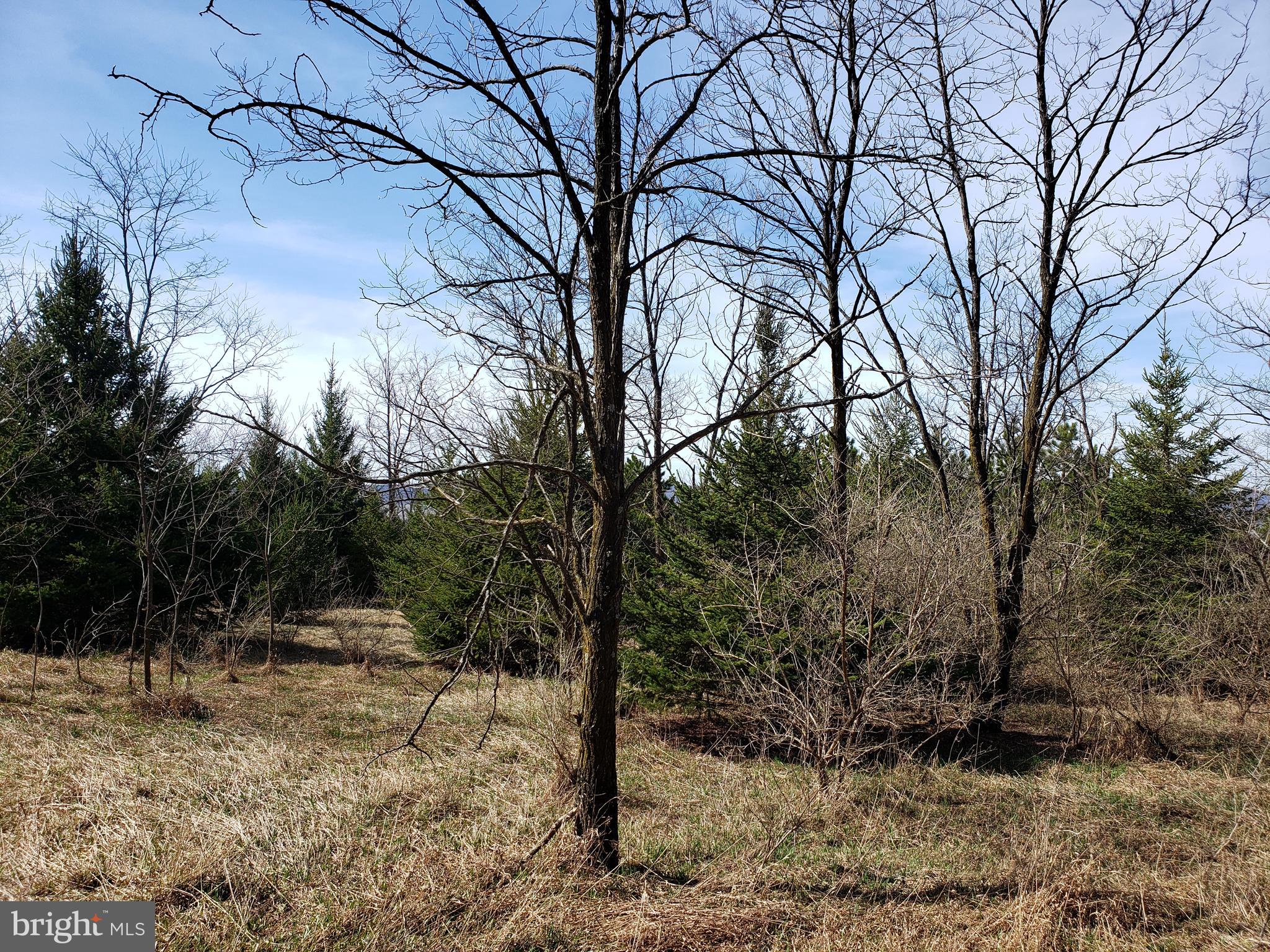 THE SUMMIT OF HARWOOD - Land