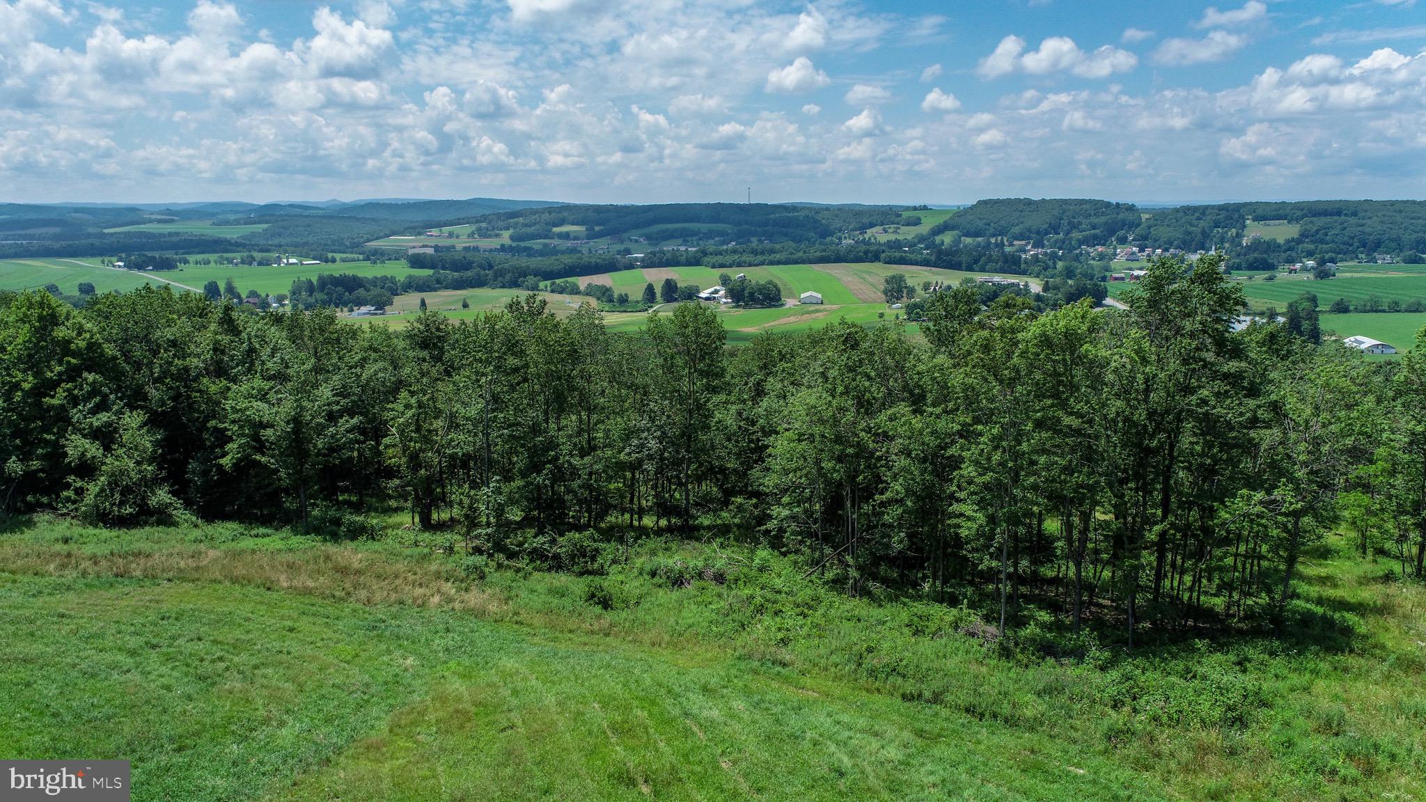 Lot 4 GREENWOOD RIDGE ROAD