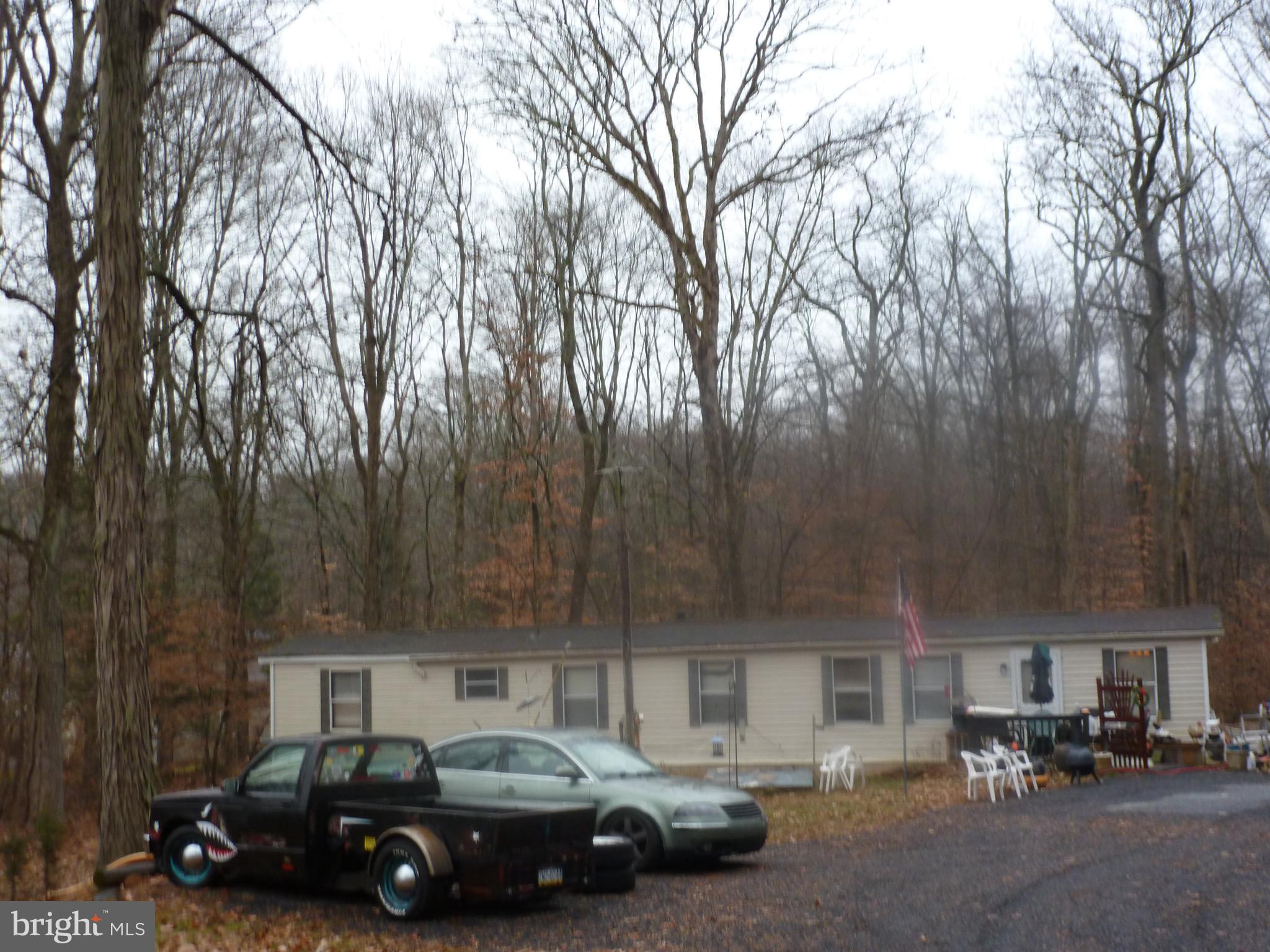 4503 AXE HANDLE ROAD