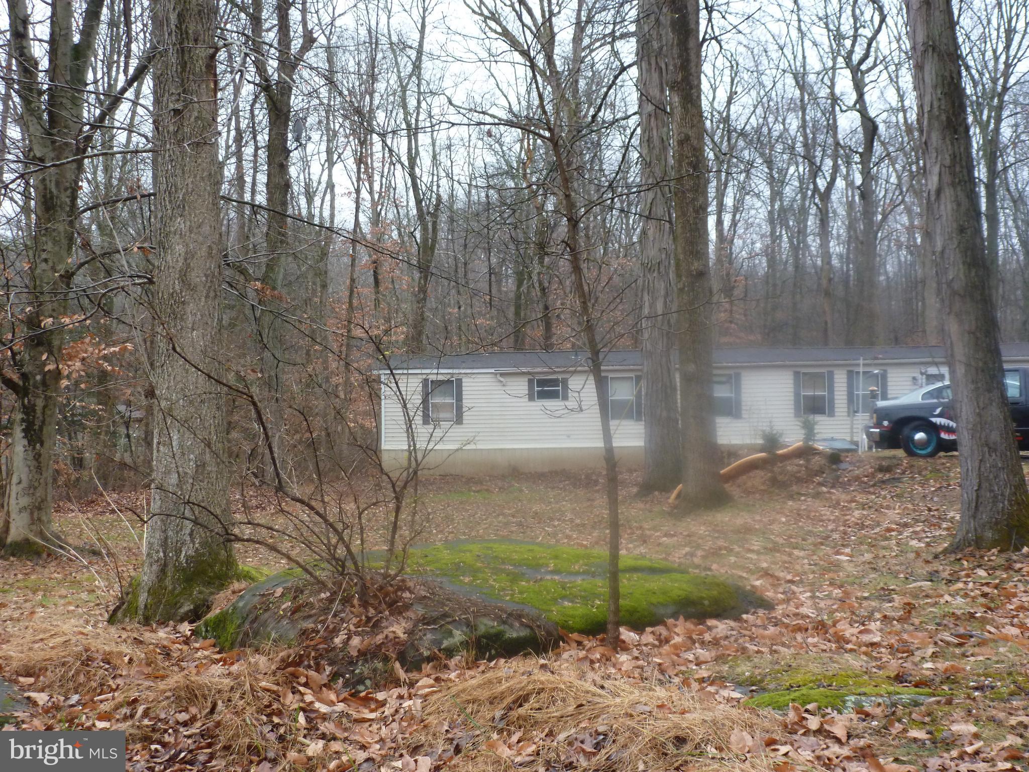 4503 AXE HANDLE ROAD