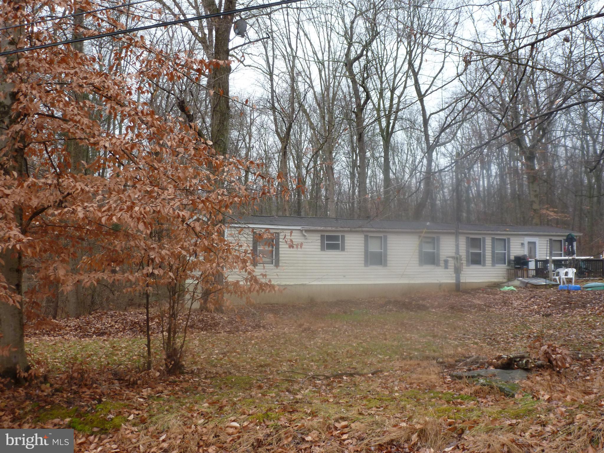 4503 AXE HANDLE ROAD