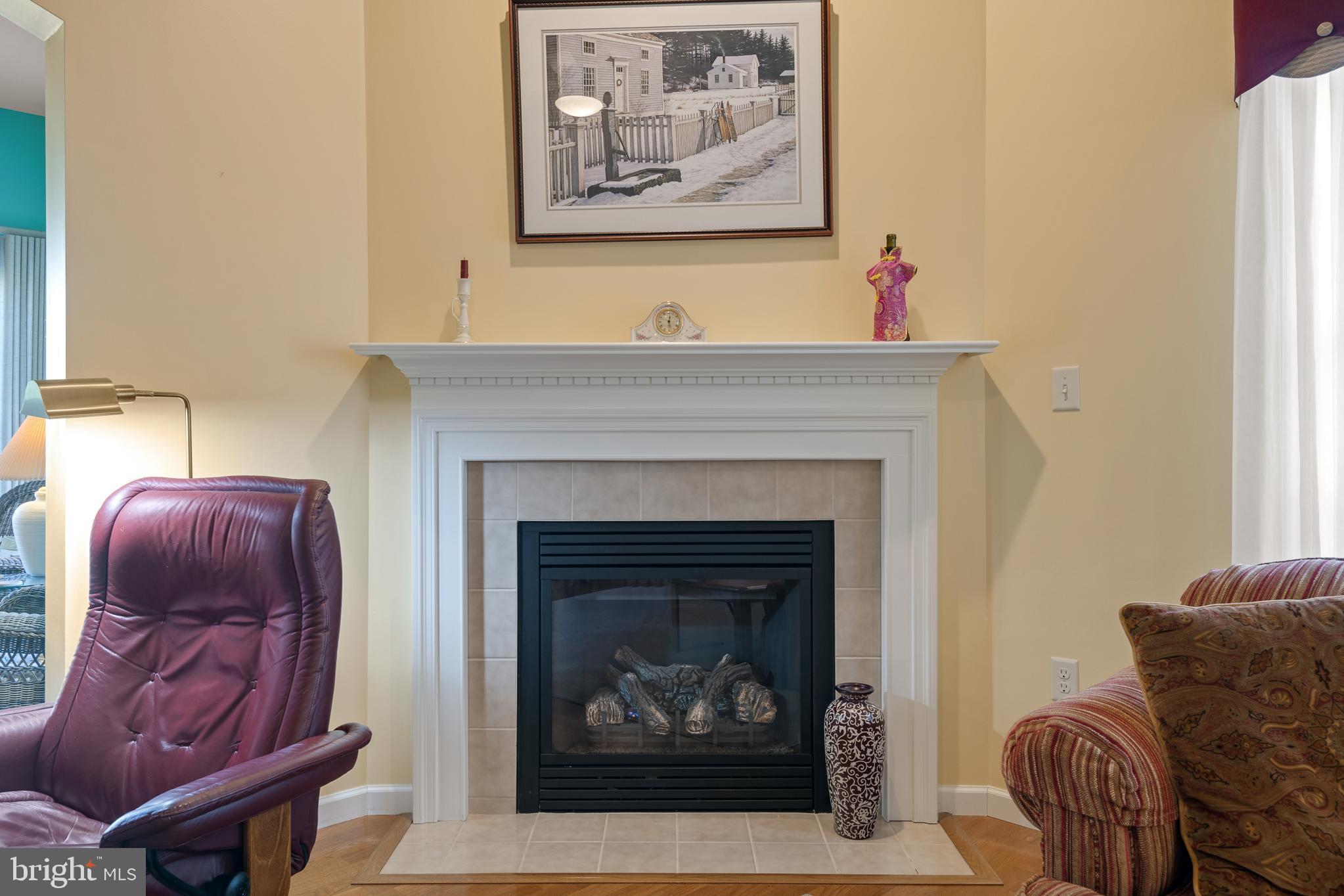 VILLAS AT ELM TREE - Residential