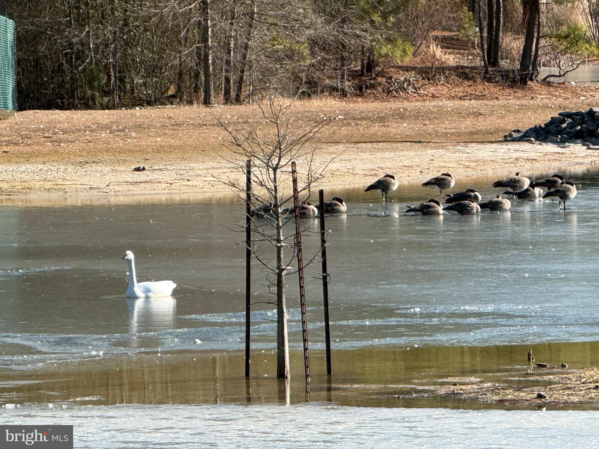 HEBRON WOODS - Residential
