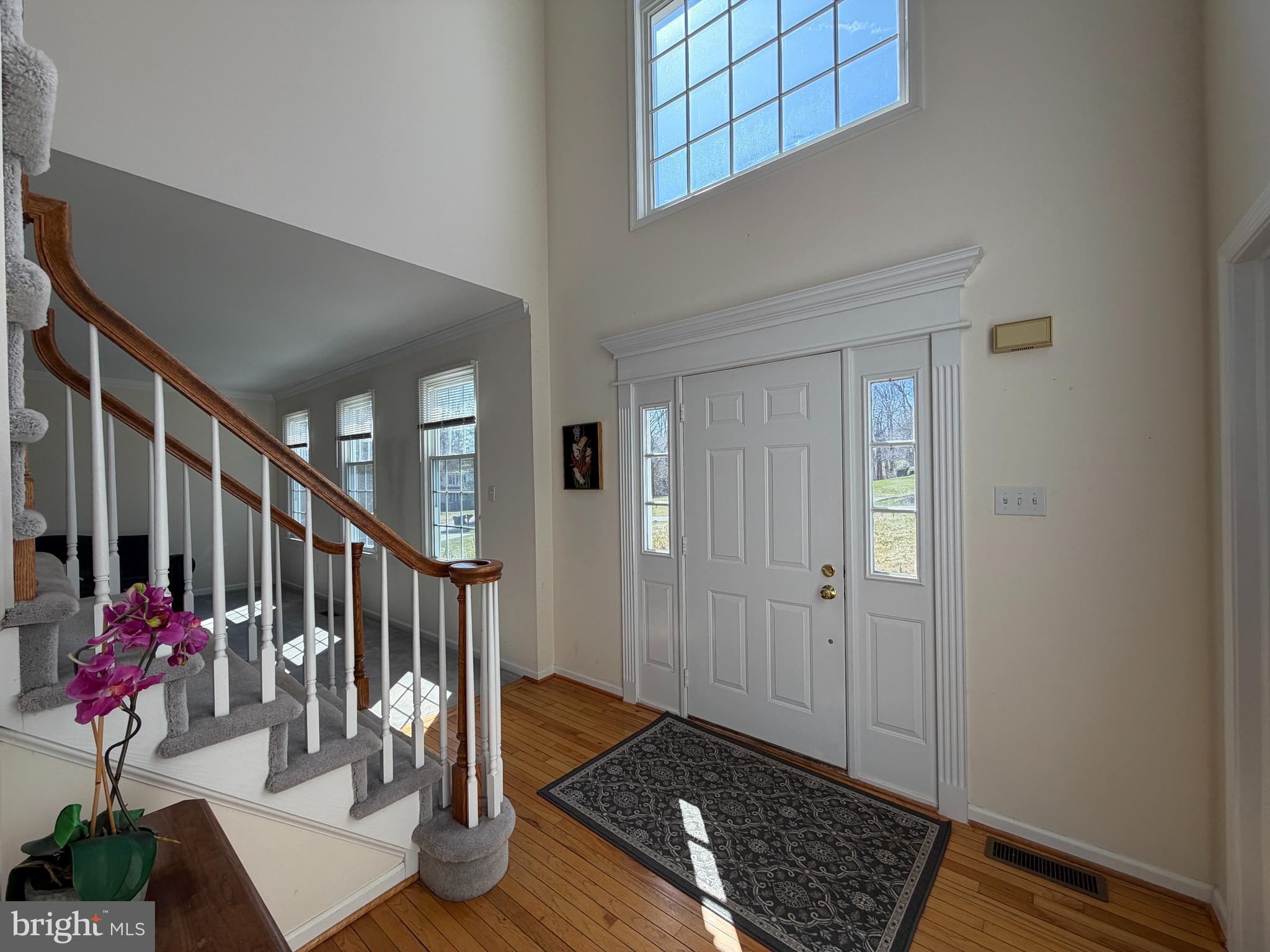 ASHLEA - Residential