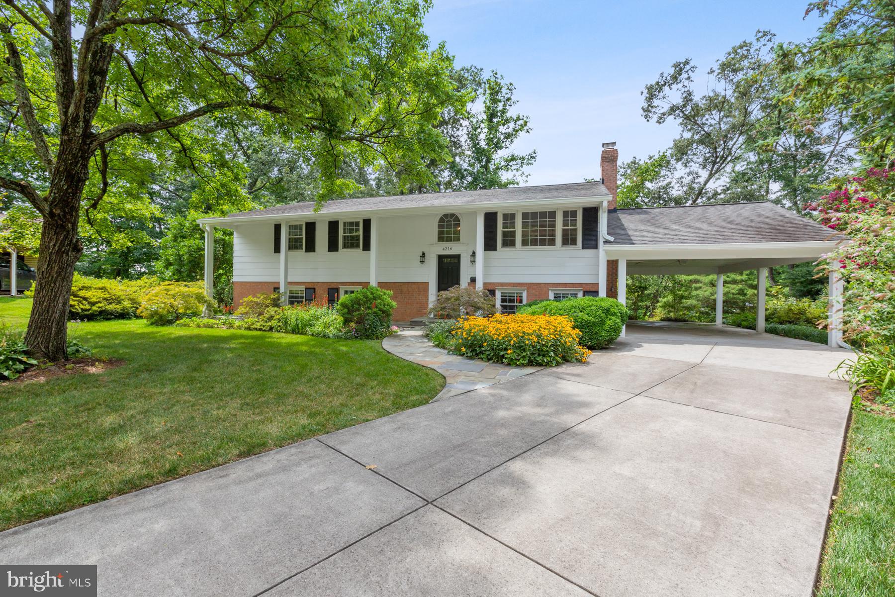 SPRINGBROOK FOREST - Residential